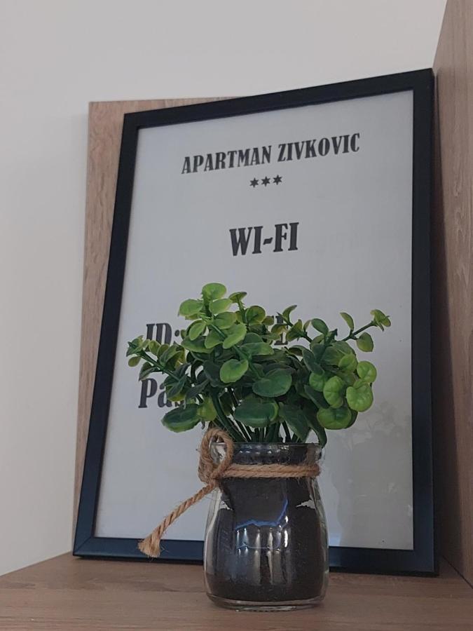 Apartman Zivkovic Leskovac  Exterior photo
