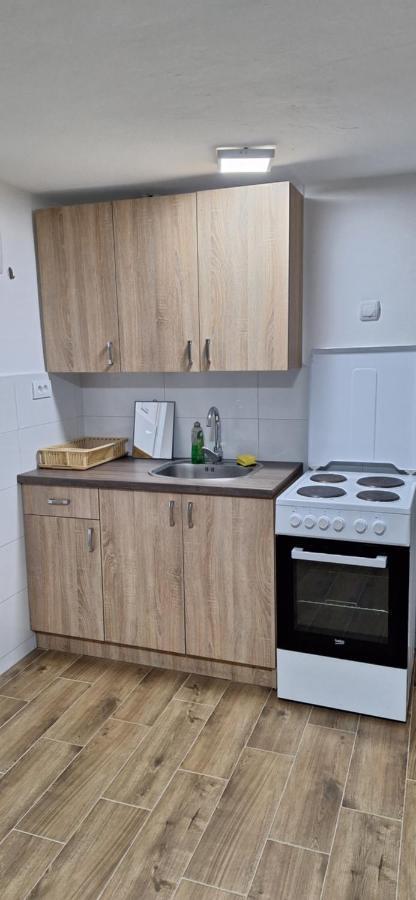 Apartman Zivkovic Leskovac  Exterior photo