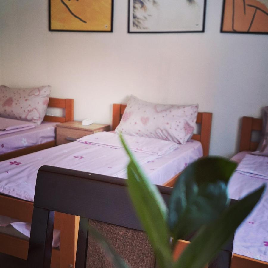 Apartman Zivkovic Leskovac  Exterior photo